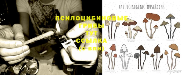 таблы Алзамай