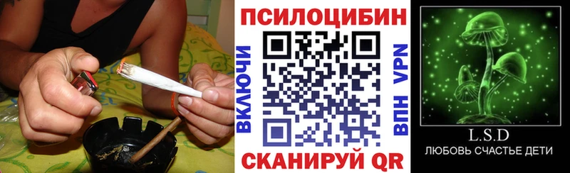это формула  Спасск  Псилоцибиновые грибы GOLDEN TEACHER 